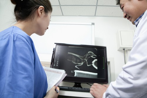 Advanced Digital X-rays  Eau Claire, WI 