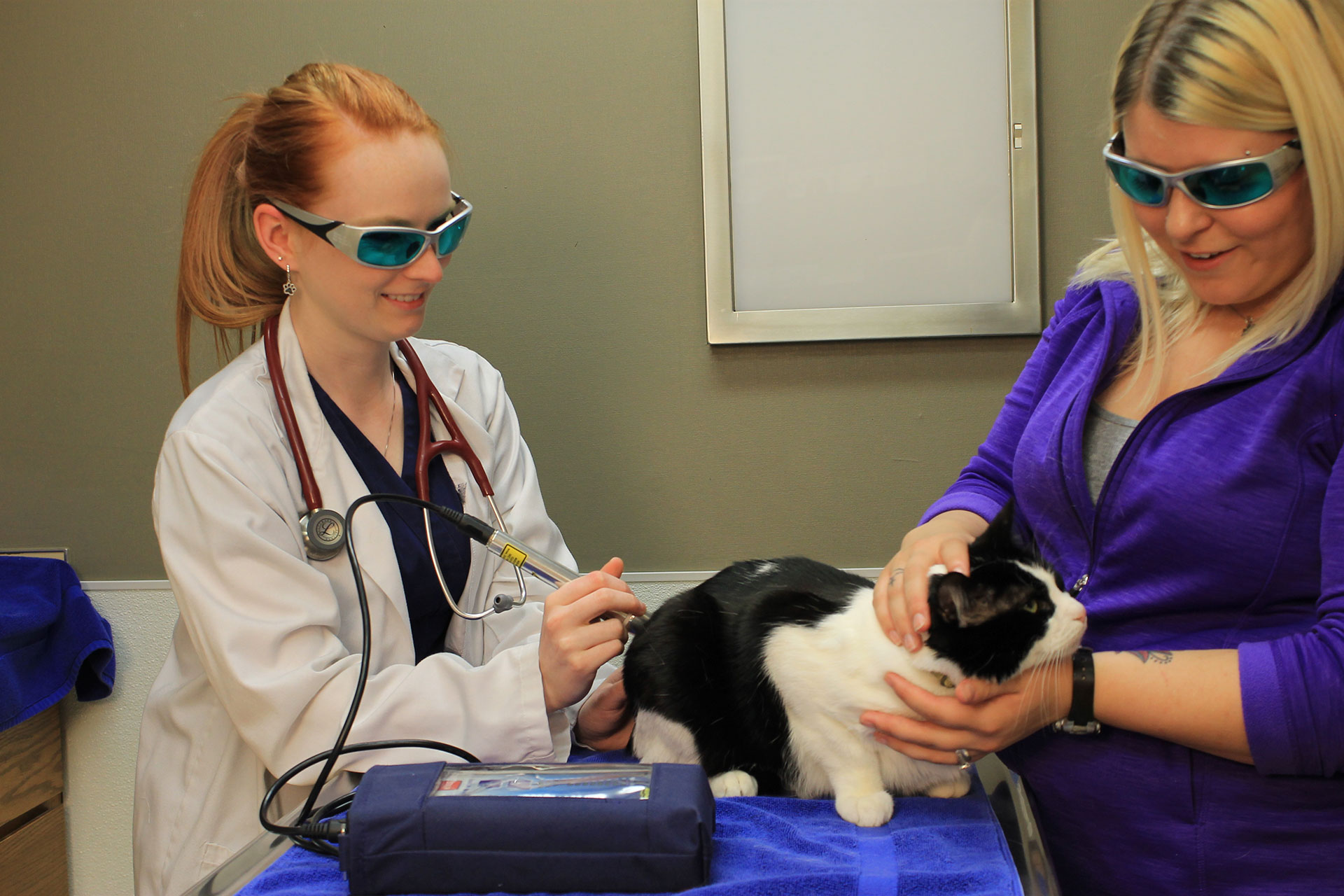 Laser Therapy  Eau Claire, WI 